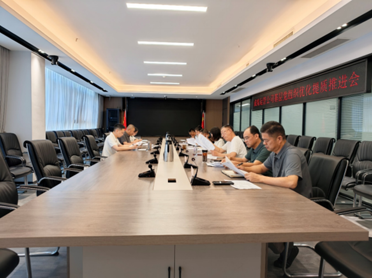 成绵运管公司召开基层党组织优化提质推进会